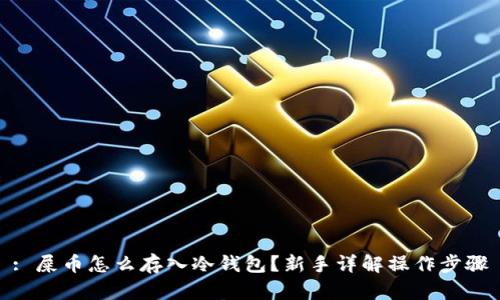 : 屎币怎么存入冷钱包？新手详解操作步骤