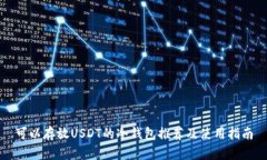 可以存放USDT的冷钱包推荐及使用指南