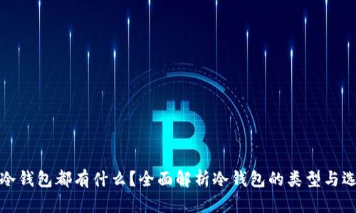 : 现在冷钱包都有什么？全面解析冷钱包的类型与选择指南