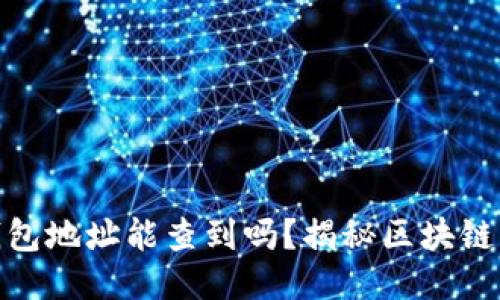 : 区块链钱包地址能查到吗？揭秘区块链隐私与安全