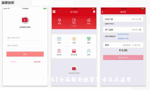 数字币是什么？全面解析数字货币及其应用