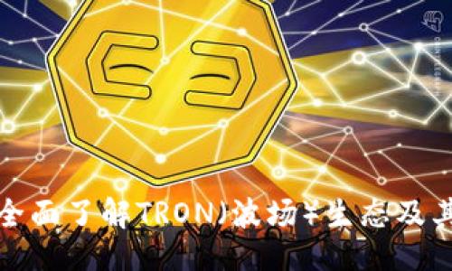 与关键词

TRX交易所：全面了解TRON（波场）生态及其交易所选择