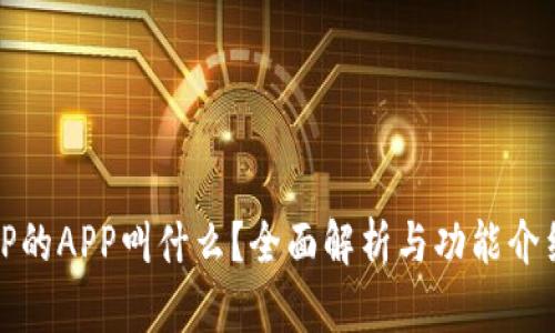 TP的APP叫什么？全面解析与功能介绍