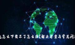 TP钱包怎么下载不了怎么办