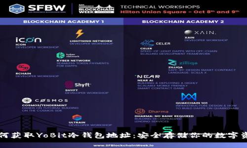 如何获取YoBit冷钱包地址：安全存储你的数字资产