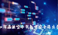 : 如何在波宝冷钱包中安全