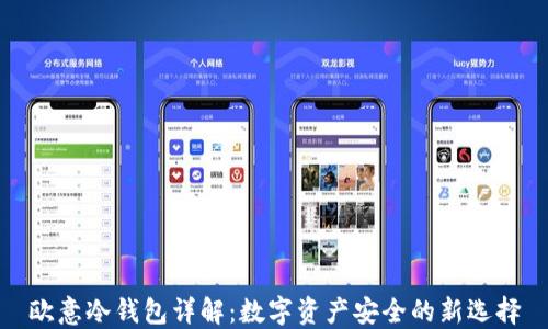 
欧意冷钱包详解：数字资产安全的新选择