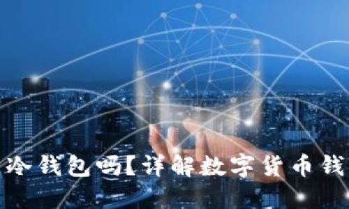 火币开户的钱包是冷钱包吗？详解数字货币钱包类型及安全策略
