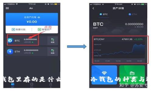 冷钱包里存的是什么币？详解冷钱包的种类与选择