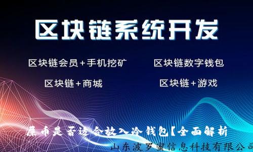 屎币是否适合放入冷钱包？全面解析