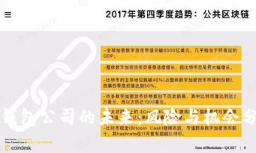 冷钱包公司的未来：风险与机会分析
