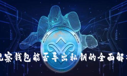 观察钱包能否导出私钥的全面解析