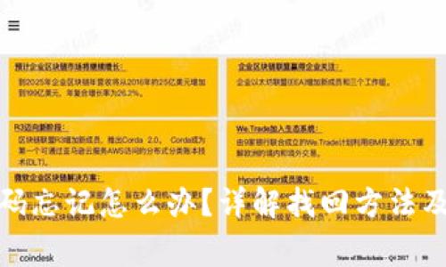 tp钱包密码忘记怎么办？详解找回方法及注意事项