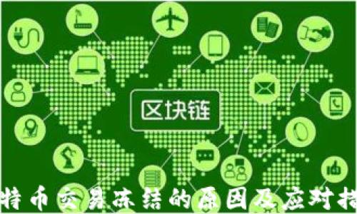 
比特币交易冻结的原因及应对措施