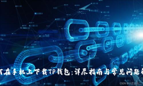 如何在手机上下载TP钱包：详尽指南与常见问题解答