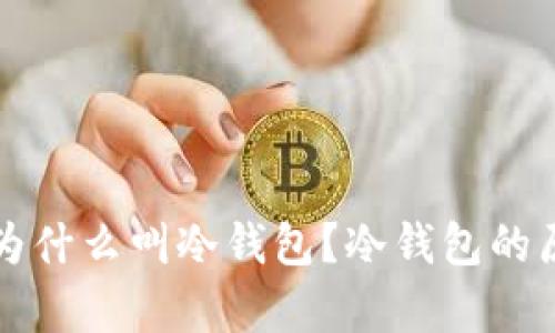平台上的钱包为什么叫冷钱包？冷钱包的原理与优势解析