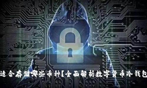 冷钱包适合存储哪些币种？全面解析数字货币冷钱包的使用