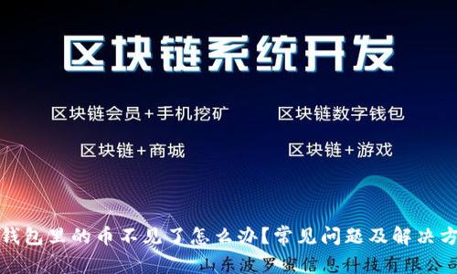 TP钱包里的币不见了怎么办？常见问题及解决方案