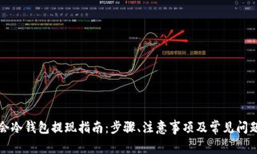 华英会冷钱包提现指南：步骤、注意事项及常见问题解答