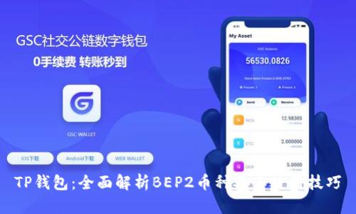 TP钱包：全面解析BEP2币种及其使用技巧