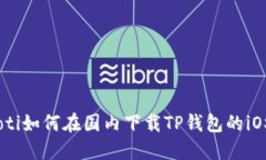 bdiaoti如何在国内下载TP钱