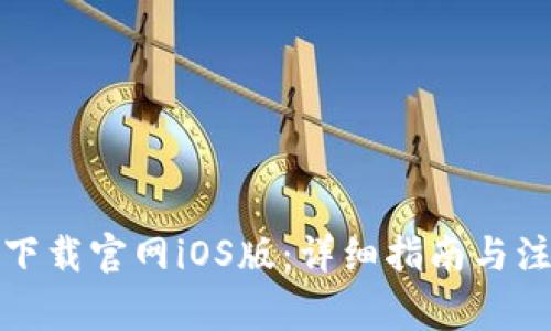 TP钱包下载官网iOS版：详细指南与注意事项