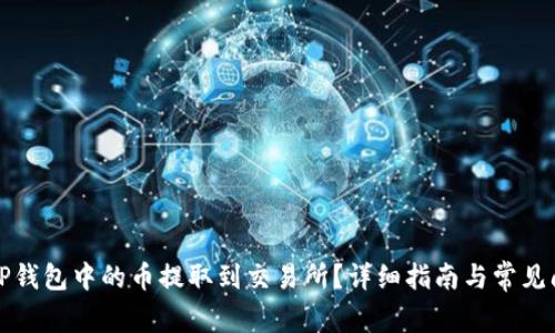 如何将TP钱包中的币提取到交易所？详细指南与常见问题解答