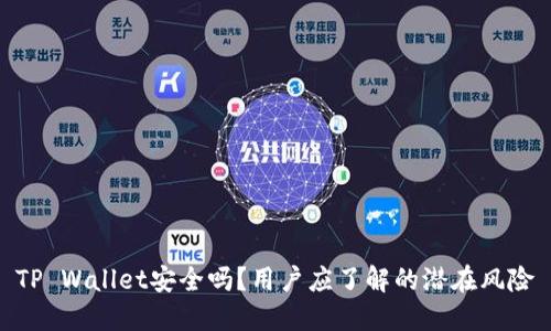 TP Wallet安全吗？用户应了解的潜在风险