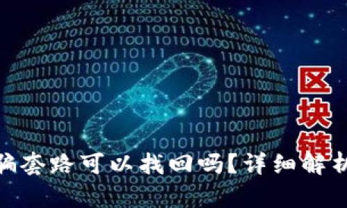 : tp钱包被骗套路可以找回吗？详细解析与应对措施