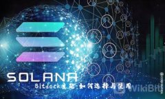 Bitdock主题：如何选择与使