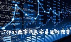 全方位解析：Topay数字钱包