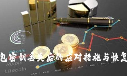 tp钱包密钥丢失后的应对措施与恢复指南
