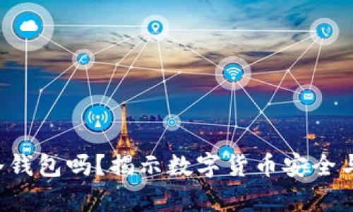 假U能进冷钱包吗？揭示数字货币安全与存储方法