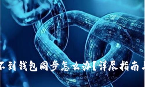TP钱包找不到钱包同步怎么办？详尽指南与解决方案