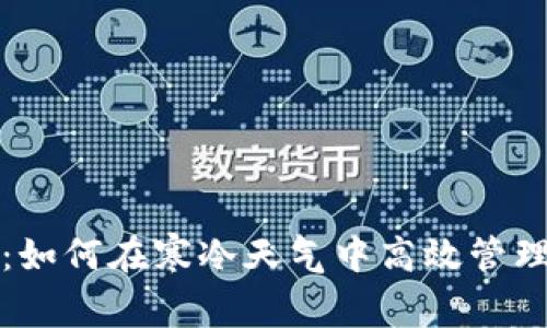 冬季转账：如何在寒冷天气中高效管理微信钱包