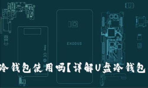 U盘可以作为冷钱包使用吗？详解U盘冷钱包的优势与风险