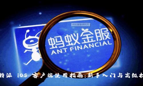 比特派 iOS 客户端使用指南：新手入门与高级技巧