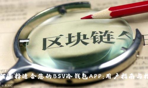 如何选择适合您的BSV冷钱包APP：用户指南与推荐