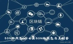 BSN冷钱包：什么是BSN冷钱