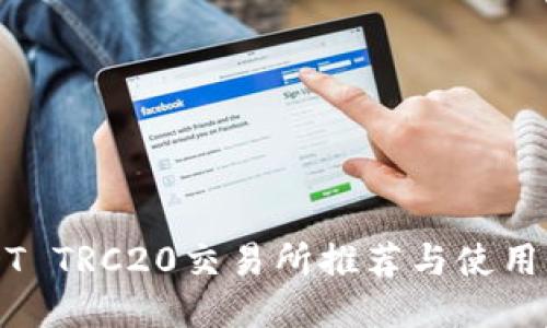 USDT TRC20交易所推荐与使用指南