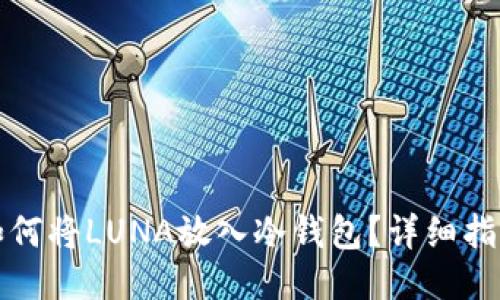 如何将LUNA放入冷钱包？详细指南